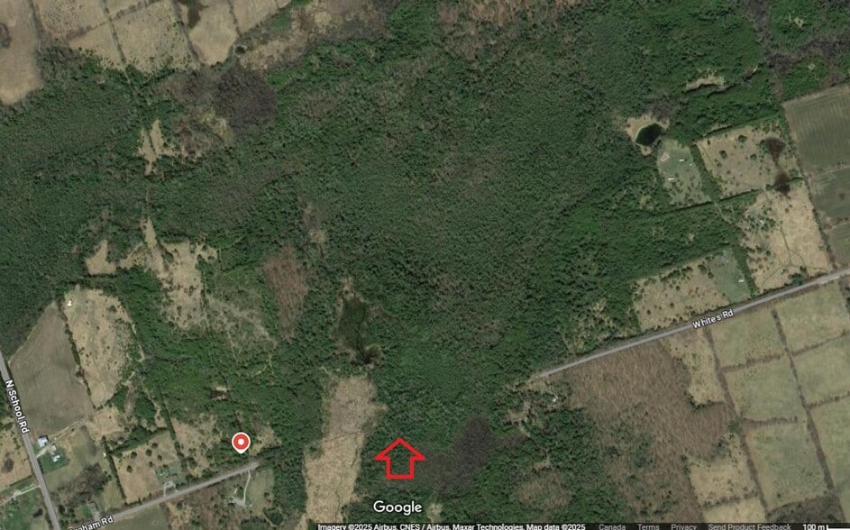 Primary Photo Of 14 Concession, Selwyn Land For Sale