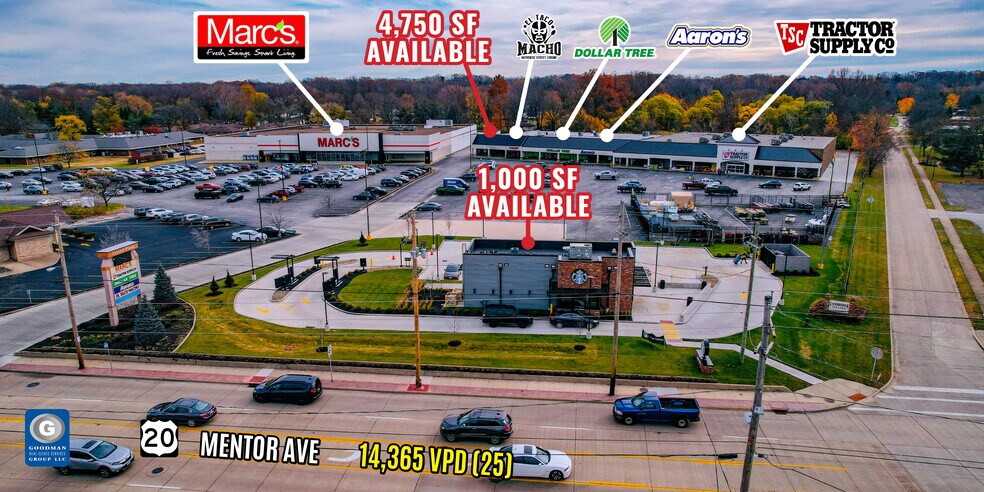 Primary Photo Of 1605-1625 Mentor Ave, Painesville General Retail For Lease