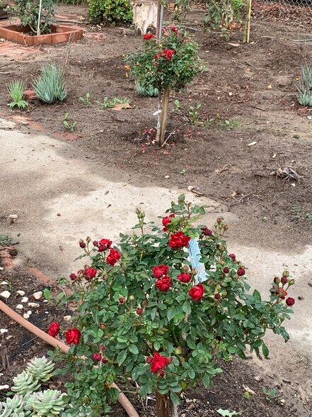 More Photos Of ,  Unknown For Sale