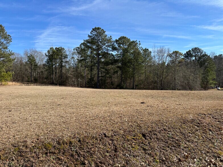 More Photos Of 184 Young Rd, Milledgeville Land For Sale