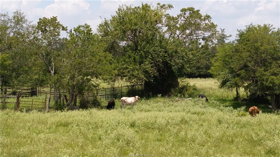More Photos Of TBD FM 974, Bryan Land For Sale