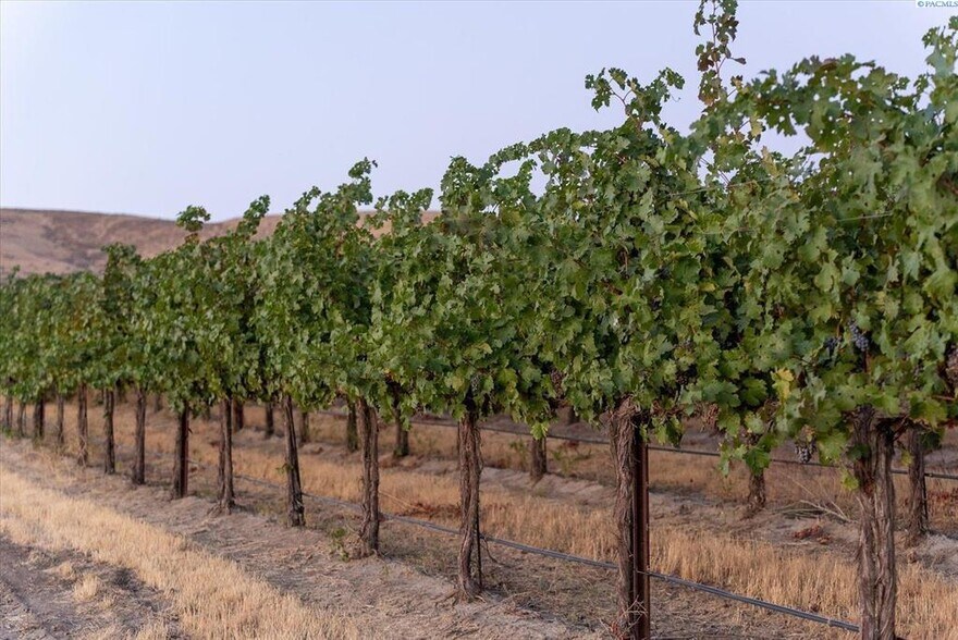 More Photos Of NKA Goose Ridge Estates, Richland Land For Sale