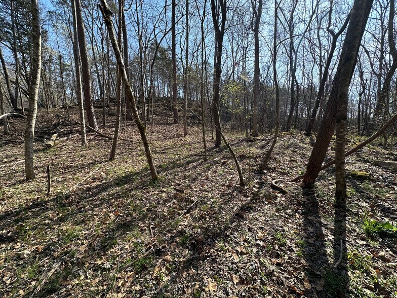 More Photos Of 7312 Highway 60, Georgetown Land For Sale