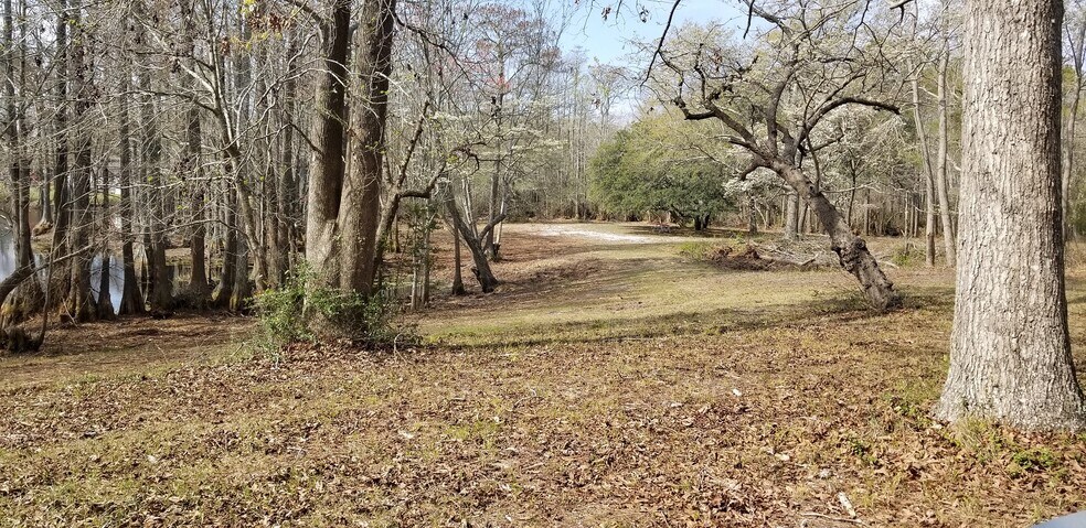 More Photos Of 16001 Highway 17, Hampstead Land For Sale