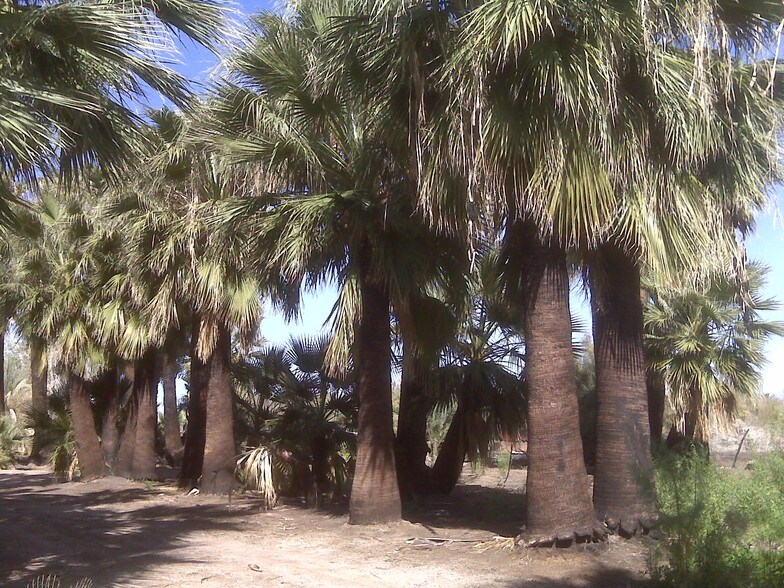 More Photos Of 7945 Luna Rd, Niland Land For Lease