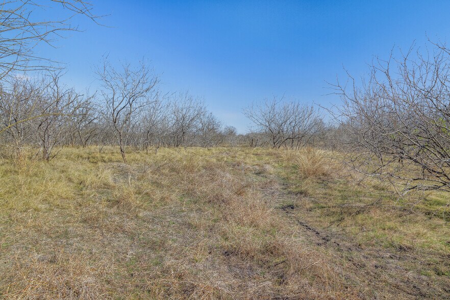 More Photos Of 5225 FM 2001, Buda Land For Sale