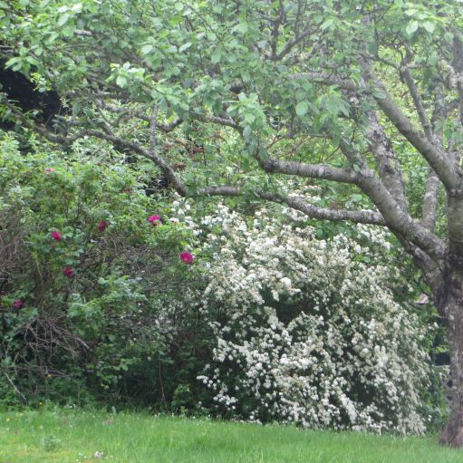 More Photos Of 6605 Sooke Rd, Sooke Land For Sale