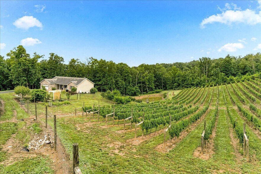 More Photos Of 1309 Redland Rd, Cross Junction Winery Vineyard For Sale