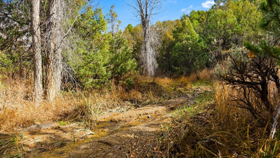 More Photos Of 1496 NM-522, San Cristobal Land For Sale