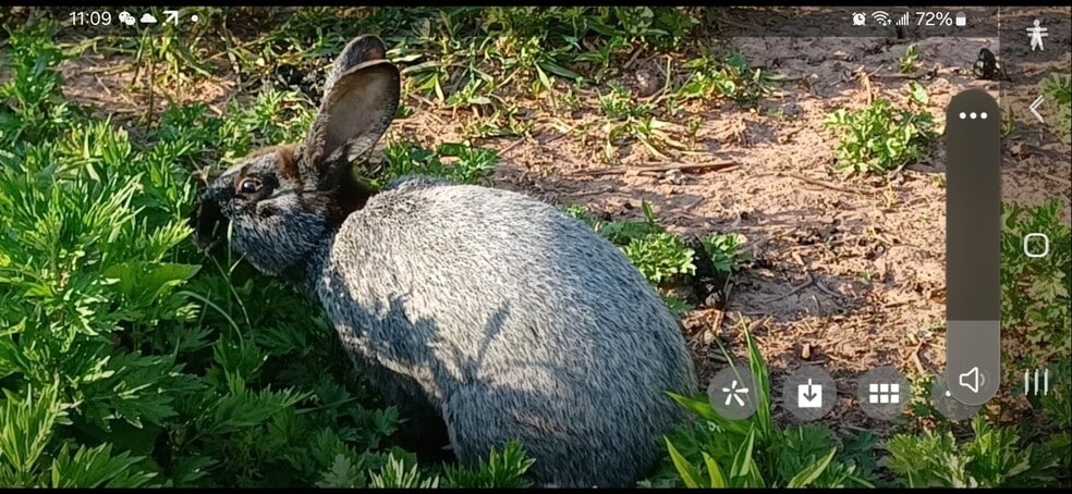 More Photos Of , Catskill Unknown For Sale