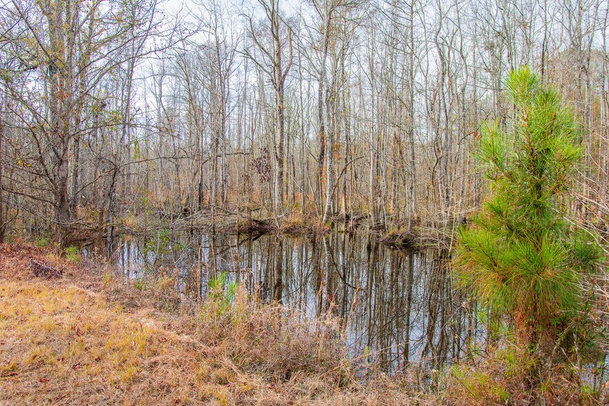 More Photos Of 409 Windward Ave, Orangeburg Land For Sale