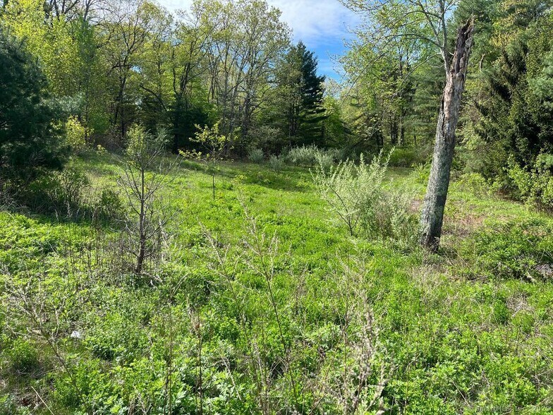 More Photos Of 248 Merrow Rd, Tolland Land For Sale