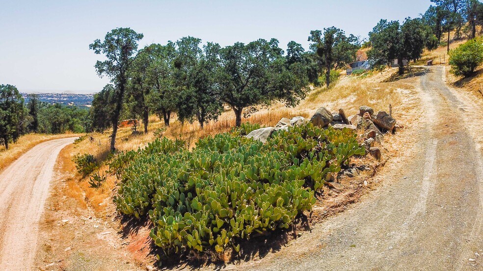 More Photos Of 3101 Trower rd, Catheys Valley Land For Sale