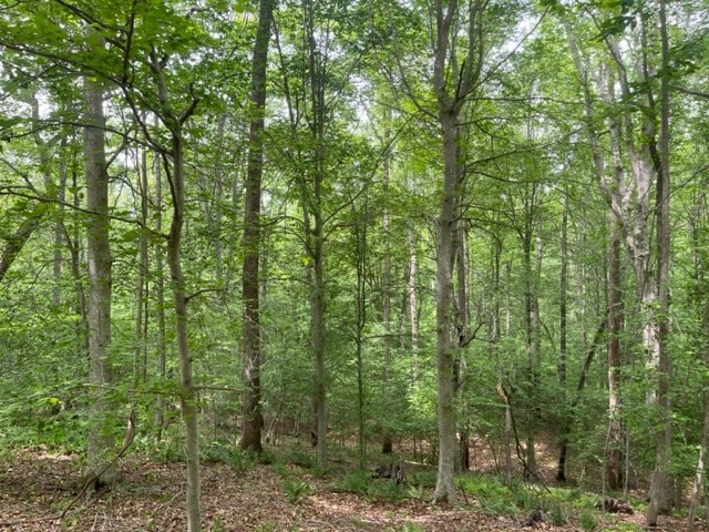 More Photos Of 7585 Mason Springs Rd, La Plata Land For Sale