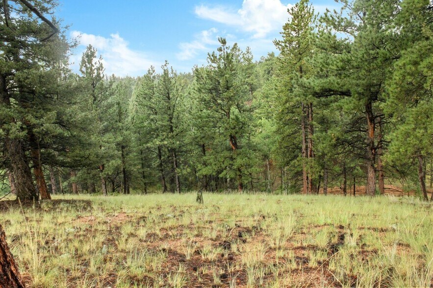 More Photos Of 131 & 67 Lost Lake Cir, Divide Land For Sale