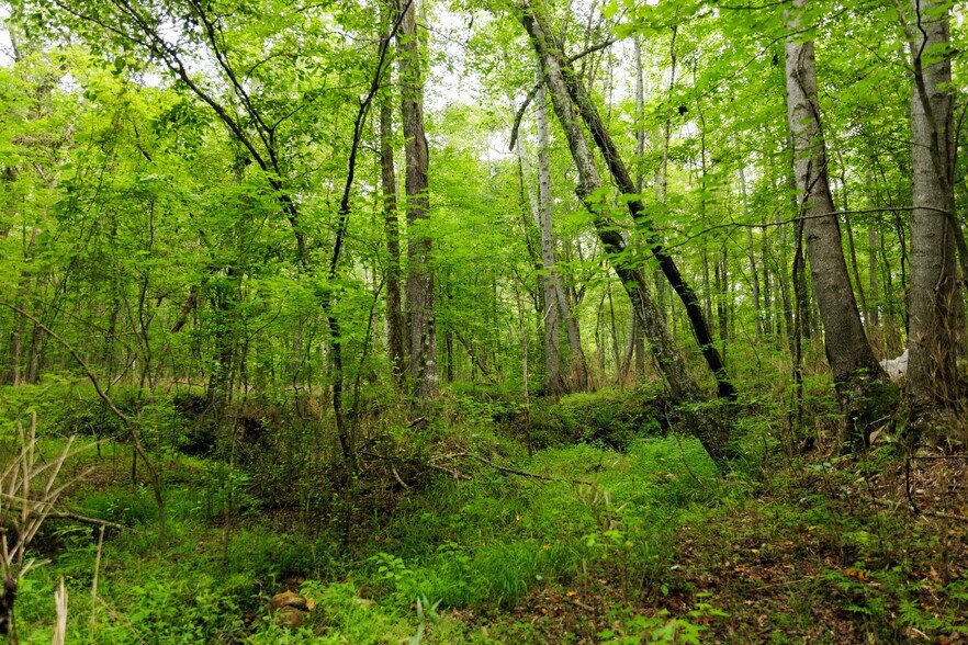 More Photos Of 2199 Roosterville Rd, Roopville Horse Stables For Sale