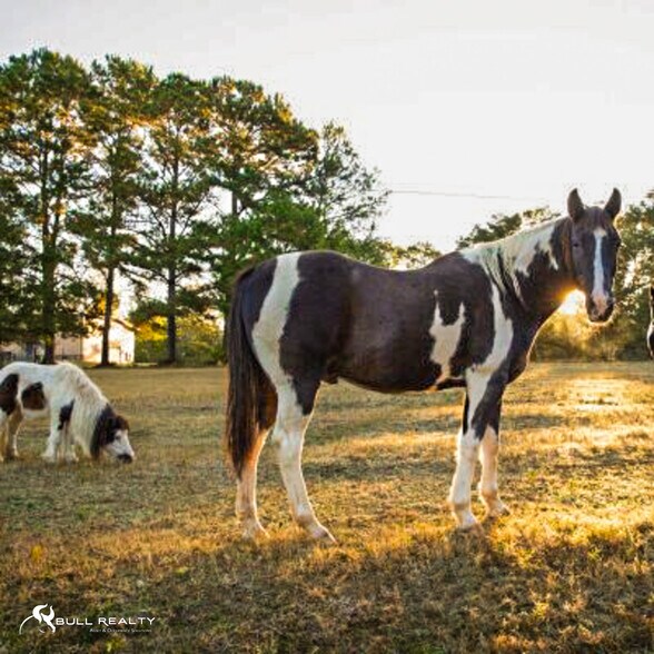 More Photos Of 286 Four Points Rd, Jackson Healthcare For Sale