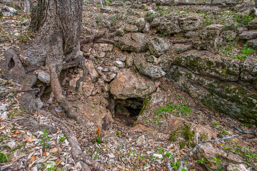 More Photos Of 101 Hunters Glen Dr, San Marcos Flex For Sale