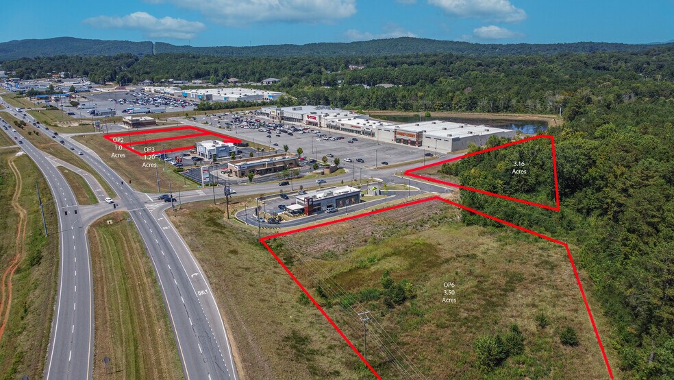 More Photos Of 115-145 Mcs Blvd, Sylacauga General Retail For Lease