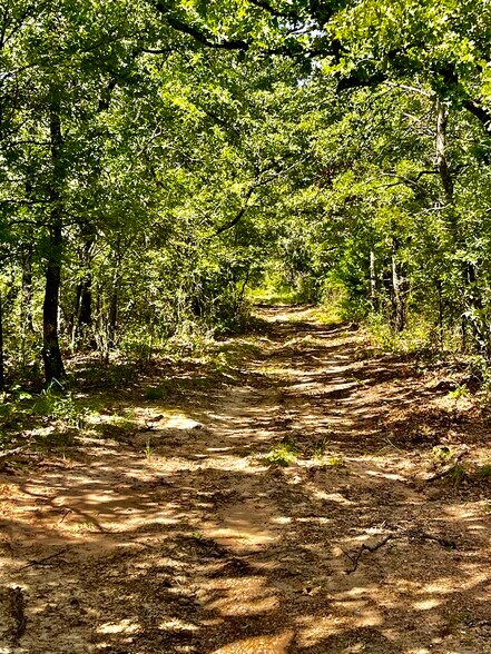 More Photos Of FM 933 Patton Lake rd, Aquilla Land For Sale