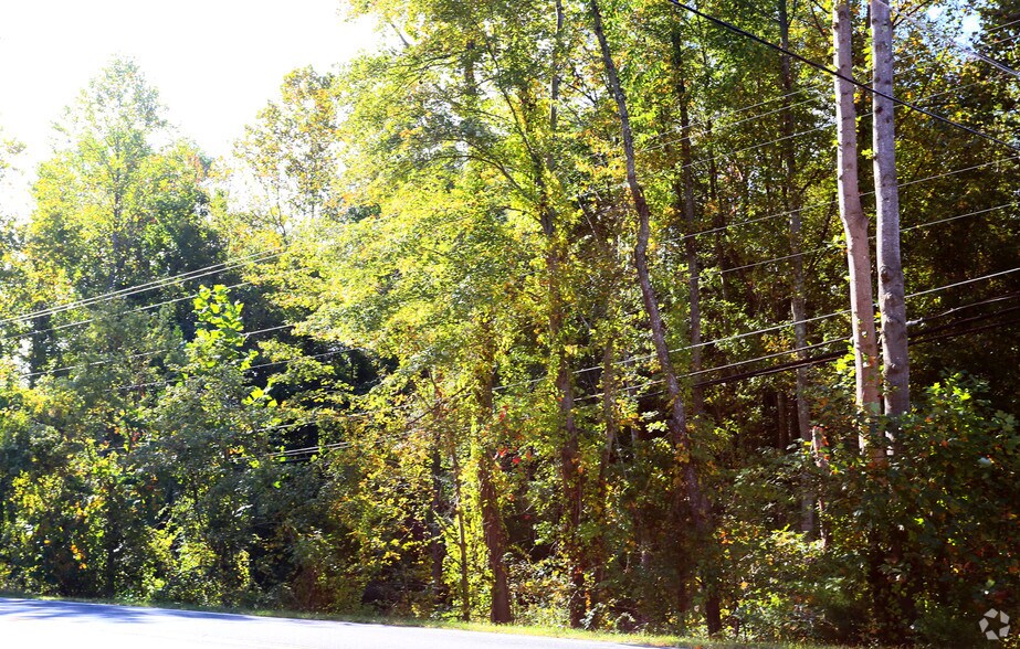 Primary Photo Of , Triangle Land For Sale