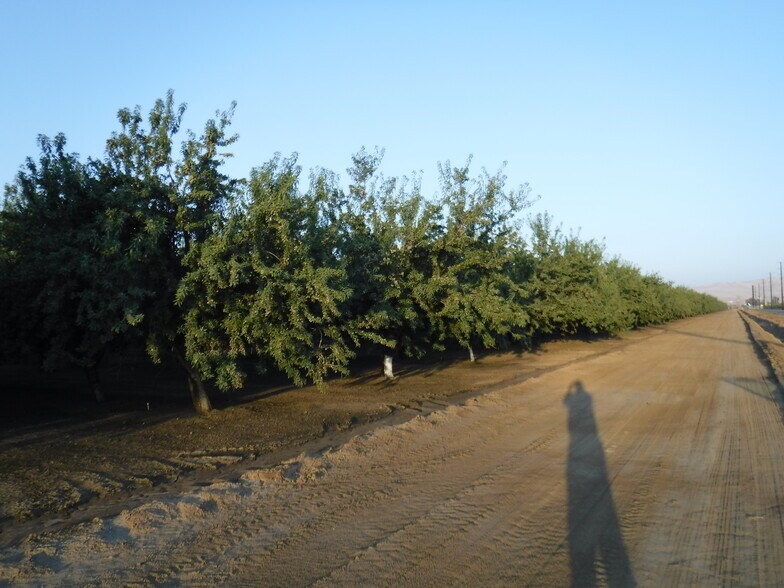 More Photos Of 1250 W. Marshall Rd, Patterson Land For Sale