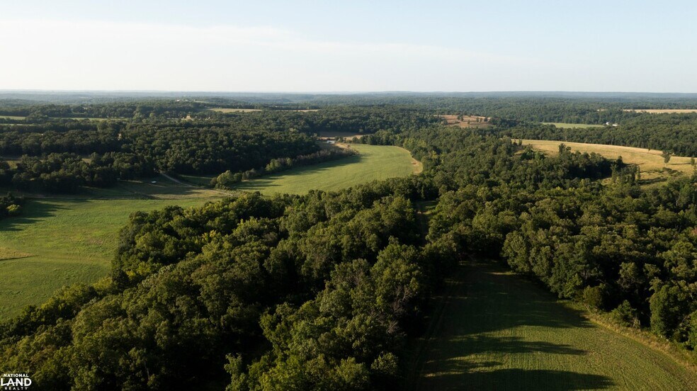 More Photos Of 178 Oak Creek Ln, Bland Land For Sale