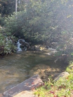 More Photos Of 4259 Pickens Hwy, Rosman Hospitality For Lease