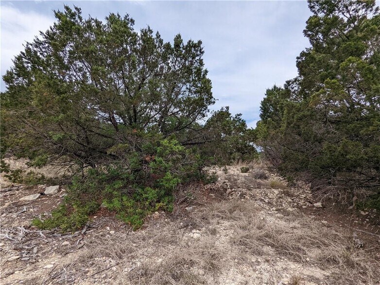 More Photos Of 19712 Tyler Trl, Jonestown Land For Sale