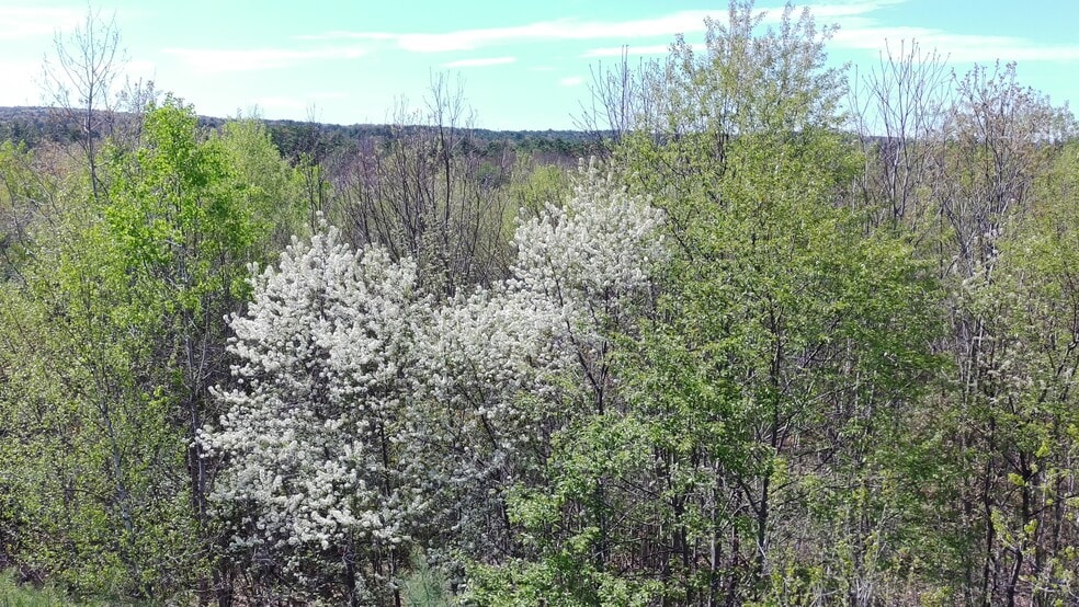 More Photos Of 988 Dover Rd, Epsom Land For Sale