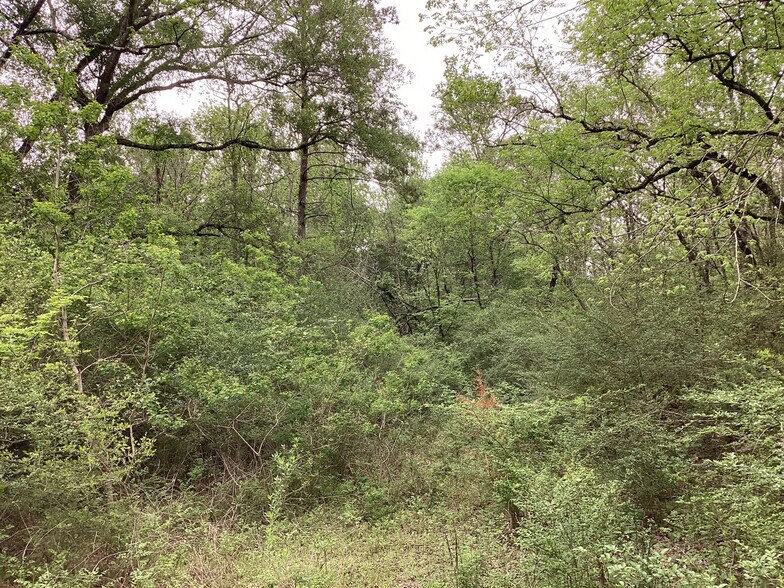 More Photos Of 0 County Road 4876, Dayton Land For Sale