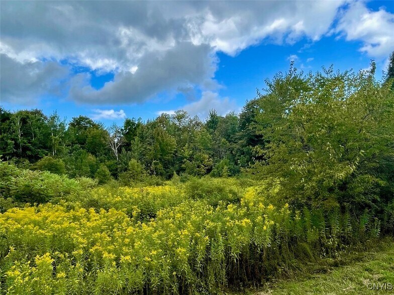 More Photos Of Maiden Lane Rd, Oswego Land For Sale