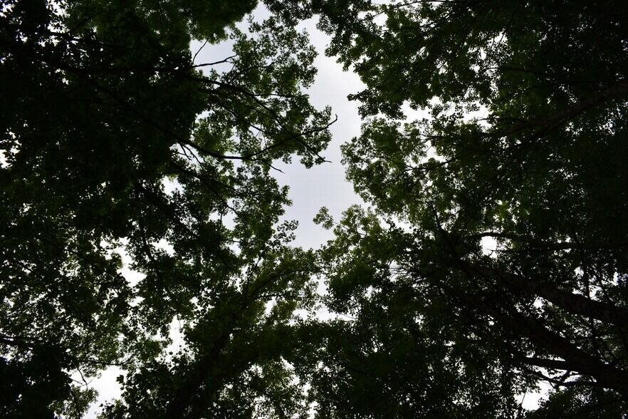 More Photos Of 6421 Highway 91 N, Laurel Bloomery Warehouse For Sale