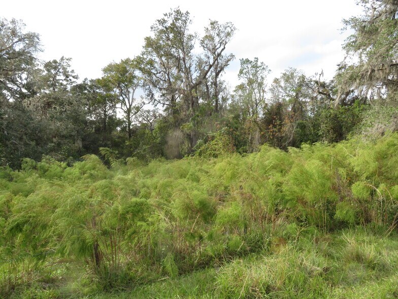More Photos Of 14451 Curley Rd, Dade City Land For Sale
