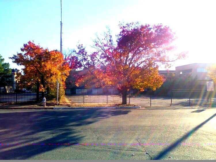 More Photos Of 1441 E Brooks Rd, Memphis Hotel For Sale