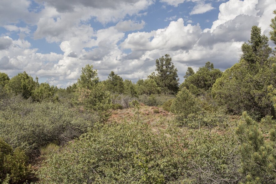More Photos Of 1200 Airport, Payson Land For Sale