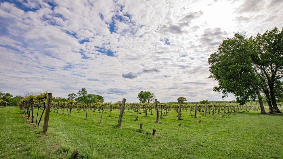 More Photos Of 8400 E 1320 Rd, Stockton Winery Vineyard For Sale