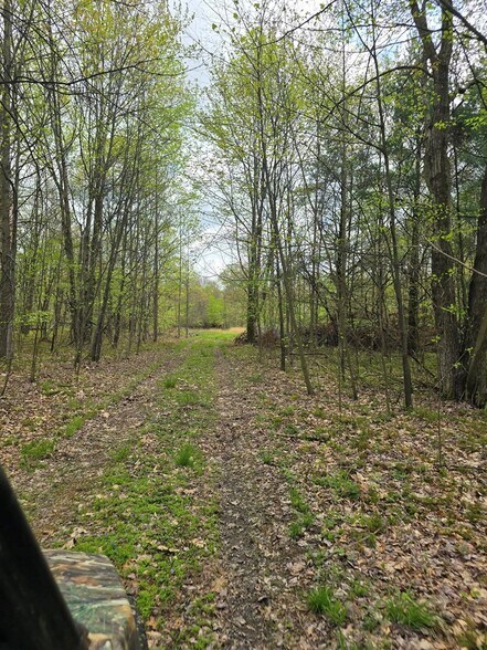 More Photos Of 0 Lower Mudlic rd, Mayport Land For Sale