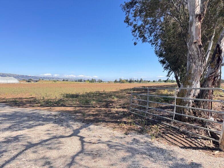More Photos Of 310 Lena ave, Gilroy Land For Lease