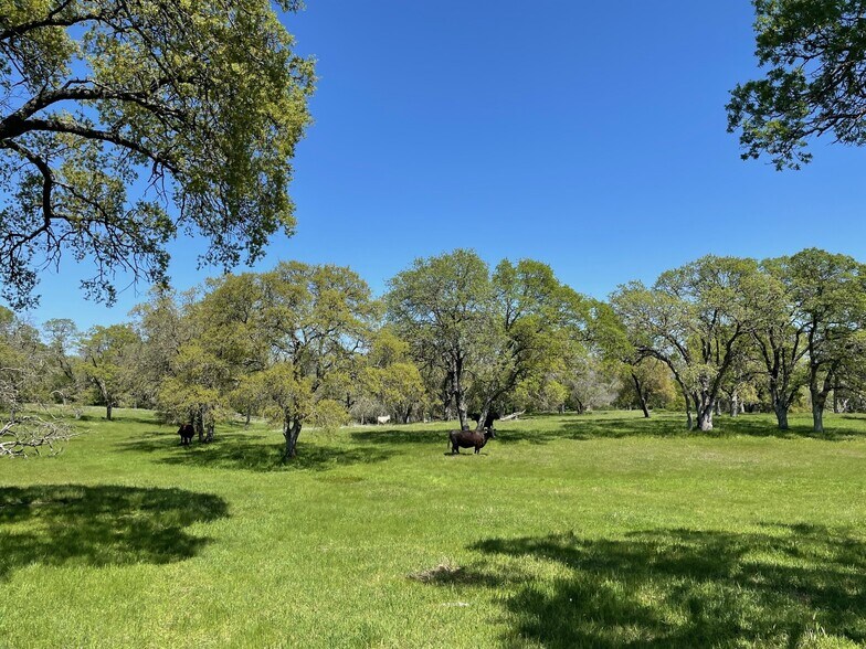 More Photos Of 1 Cardwell Ave, Orangevale Land For Sale