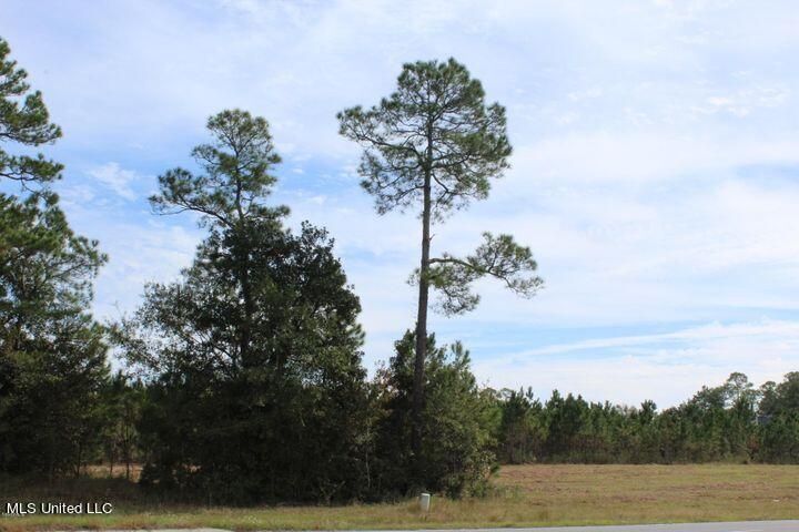 More Photos Of 3.5 Acres Tucker Rd, Vancleave Land For Sale