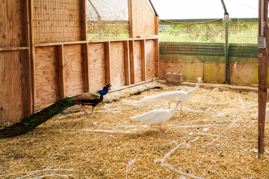 More Photos Of 17-4150 Huina Rd., Kurtistown Land For Sale