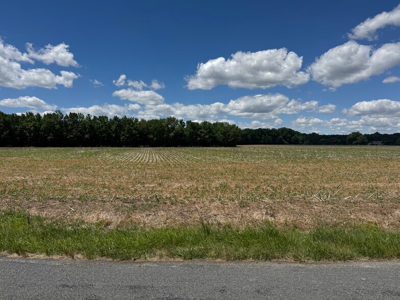 More Photos Of 953 White Marsh Branch Rd, Harrington Land For Sale