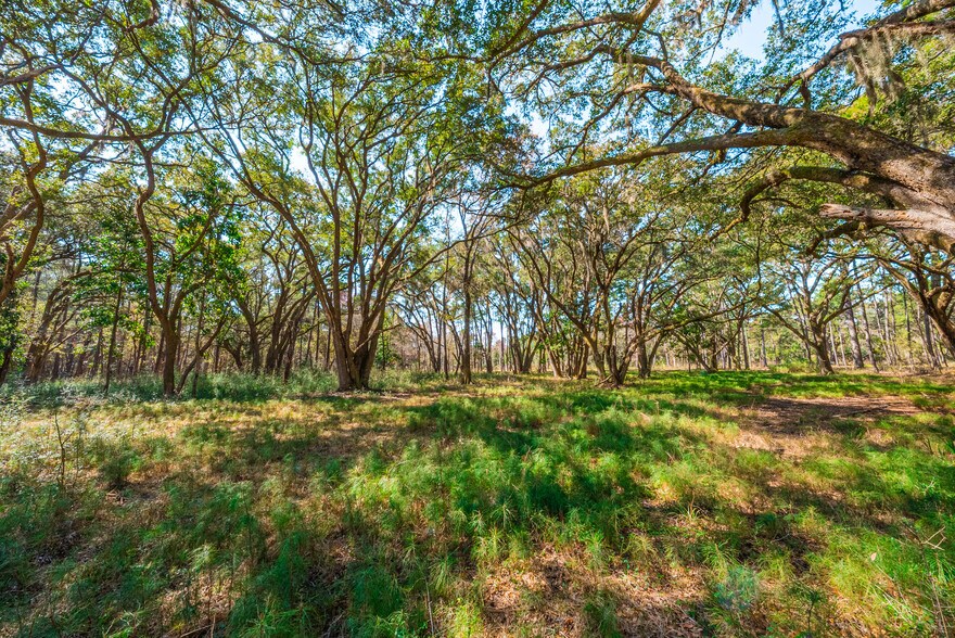 More Photos Of 0 King Rail Lane, Edisto Island Land For Sale