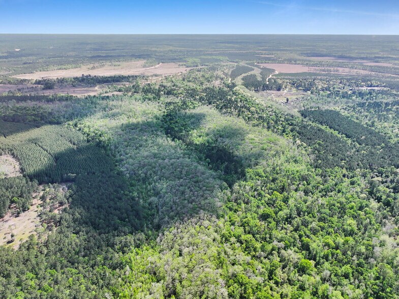 More Photos Of 2000 Block Gentry Dr., Silsbee Land For Sale