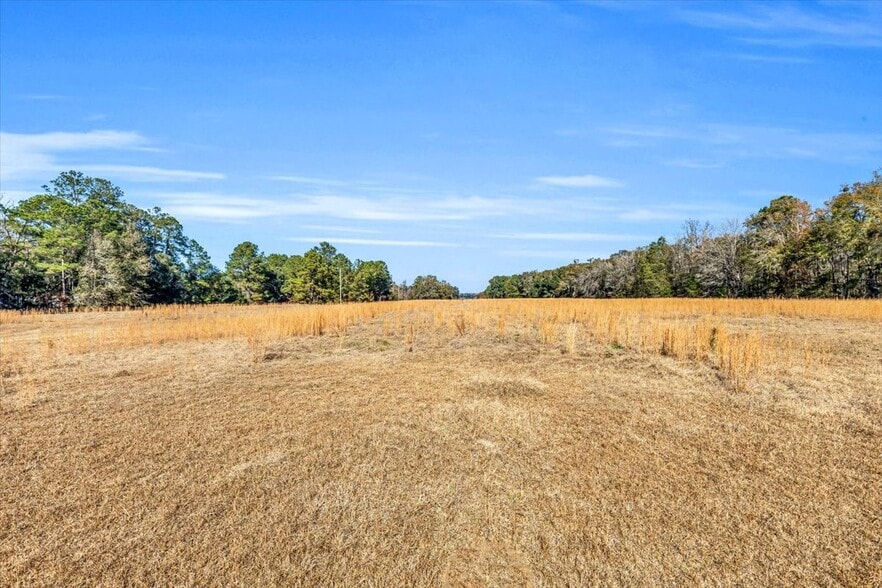 More Photos Of 580 Old Gress Island Rd, Midway Land For Sale