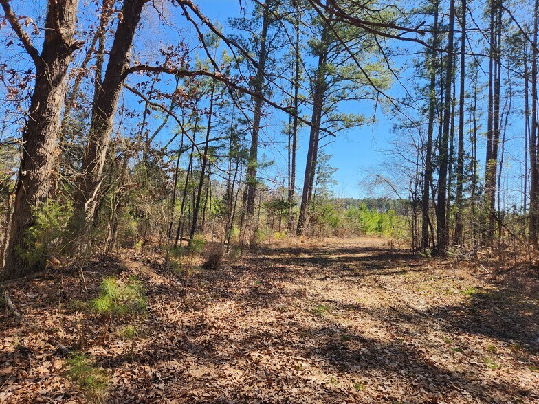 More Photos Of 3004 U.S. 401 Hwy, Louisburg Land For Sale