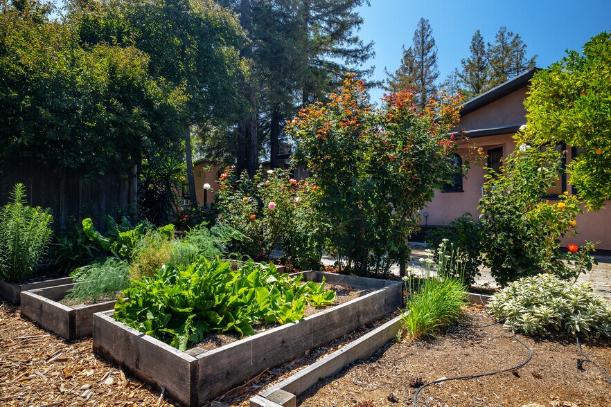 More Photos Of 75 Fremont Dr, Sonoma Storefront Retail Residential For Sale
