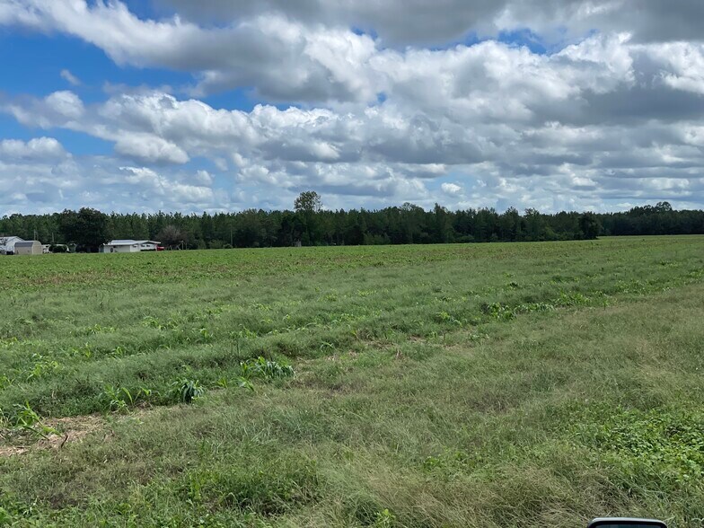 More Photos Of 5700 Pine Forest Rd, Walnut Hill Land For Sale