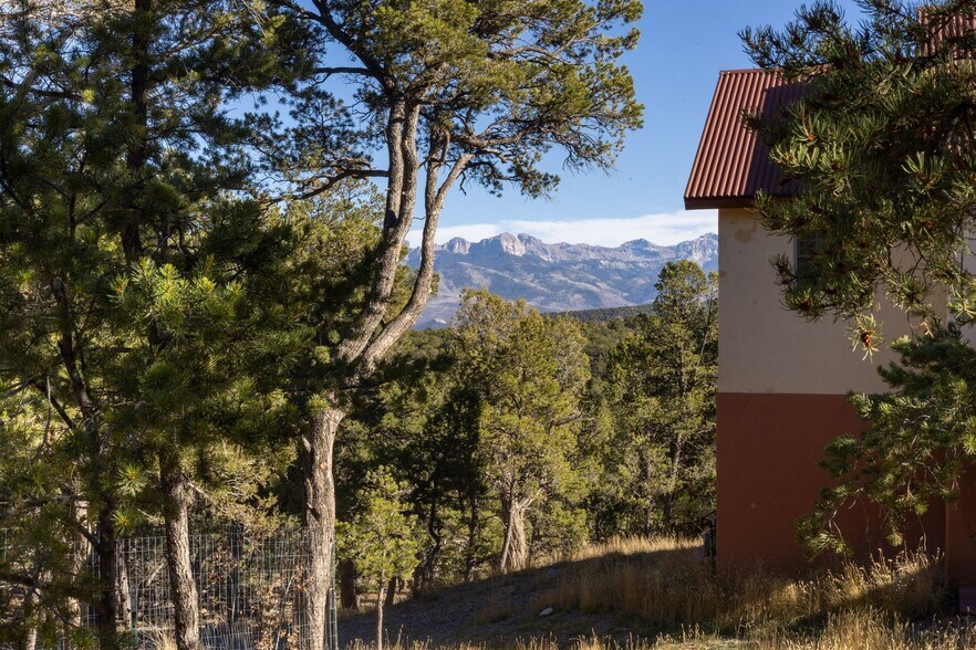 More Photos Of 622 Bristlecone Dr, Ridgway Flex For Sale